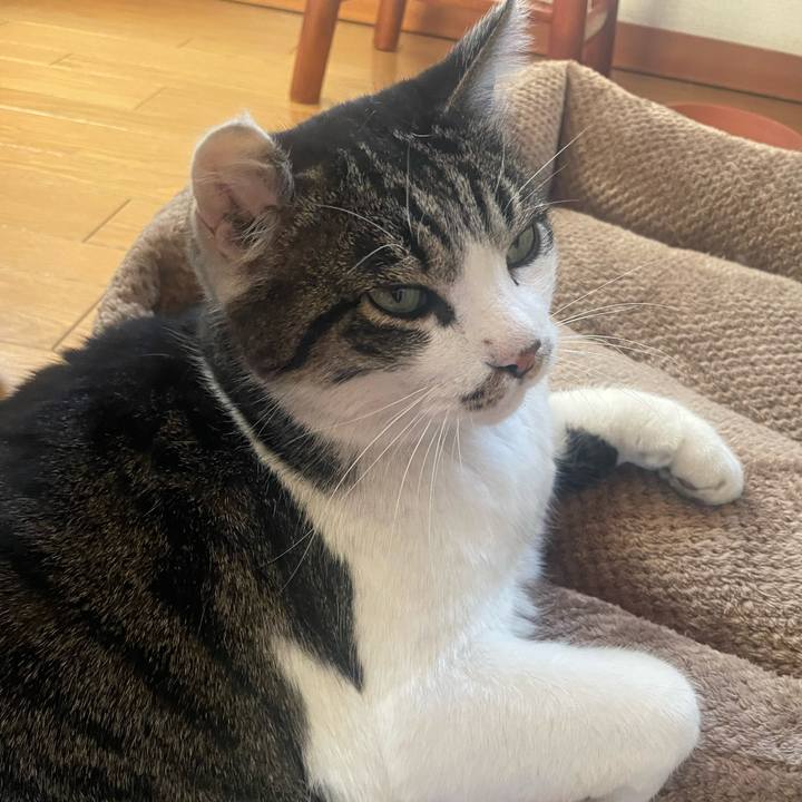 97f17060 ac5d 4bf7 a471 9e8092ae671c 1706351498190