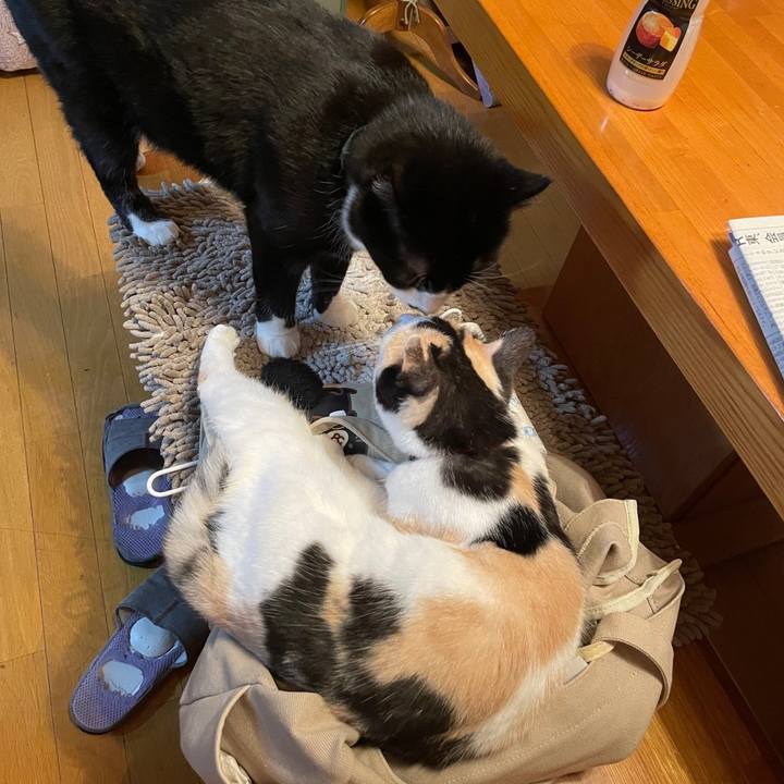 97f17c10 f340 4b58 8e32 80715c1ec504 1716893616924