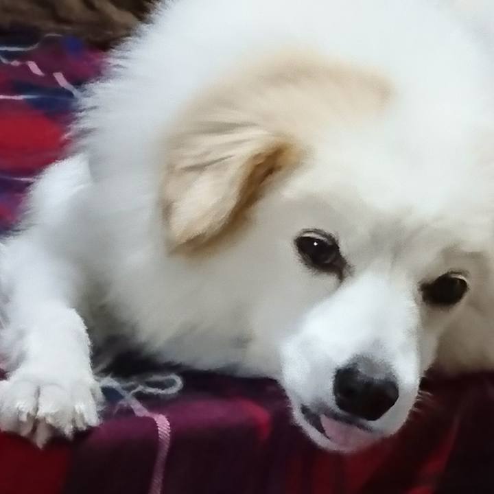 97f1e1dc 47b0 4fed a479 4a6b289cb0b4 1508028971718