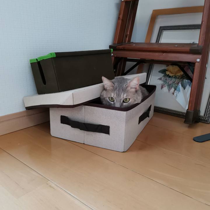 97f1f789 2875 4cb1 b247 ac5ea7d33a65 1606293265770