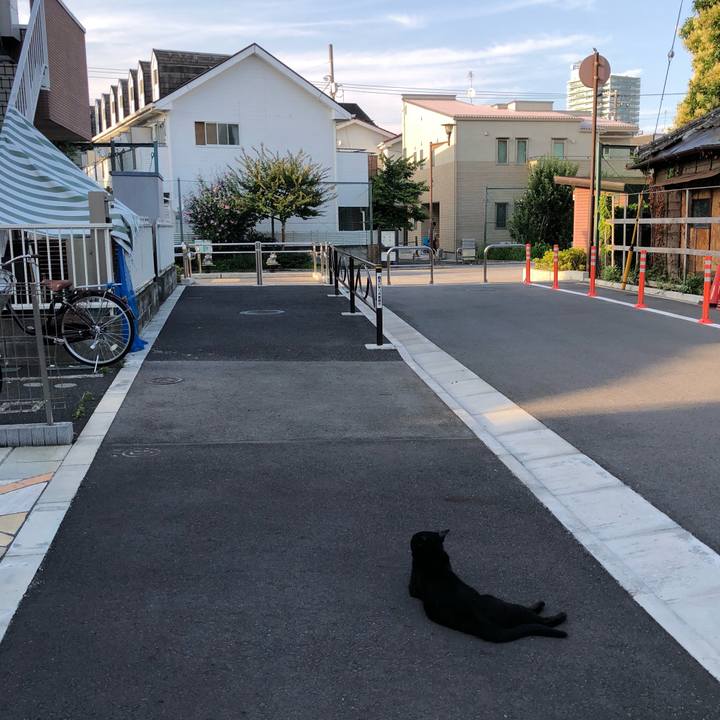 97f209b8 a89b 4aa6 a21e f9d8fd865336 1529942683042