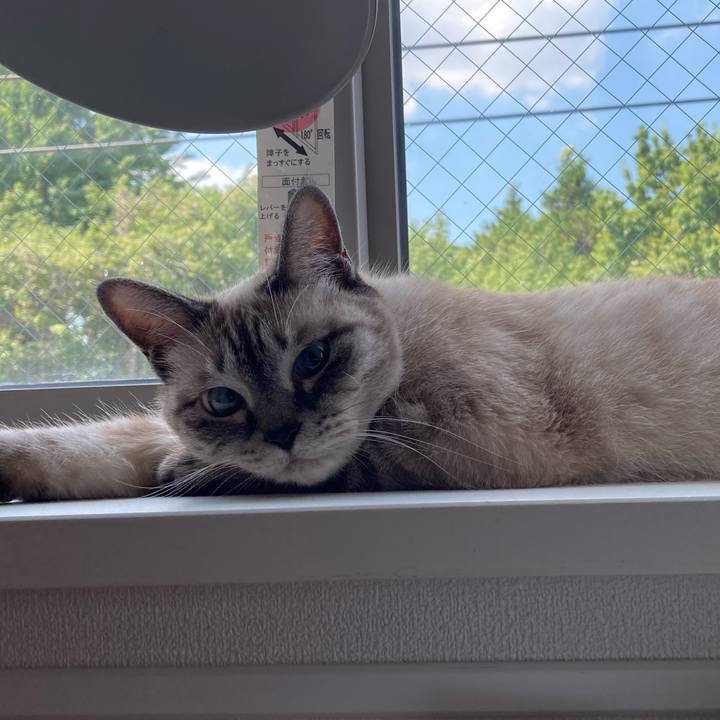 97f21df6 3391 4ea8 bd25 dec863b52932 1722833227927