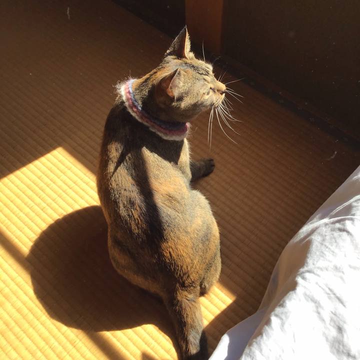 97f22d82 116b 4bf2 8820 11342fa2de8b 1626570847748