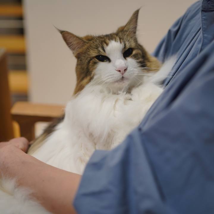 97f231ed 694a 42d2 b77c c9671eb080c2 1698038216989