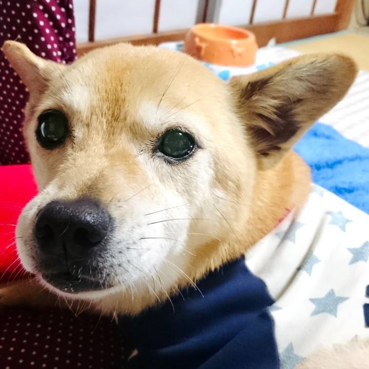 97f253f3 fcc0 4504 97f6 3faf433830df 1615993601165