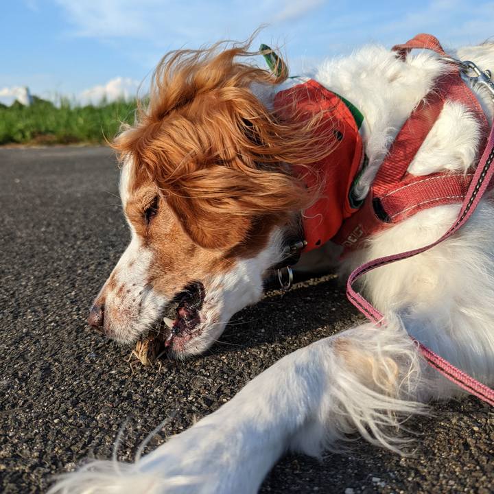 97f25832 c9c4 49b6 a458 7d166c656e1f 1665195147830