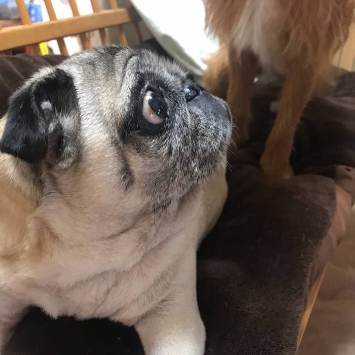 97f26d23 145c 4e9e ad21 2646c01ff4cb 1543111134147