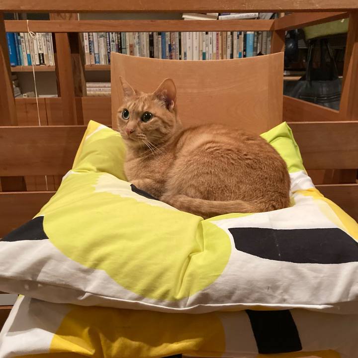 97f2a091 0afd 4ab2 b546 b6a665779cc1 1652616718268