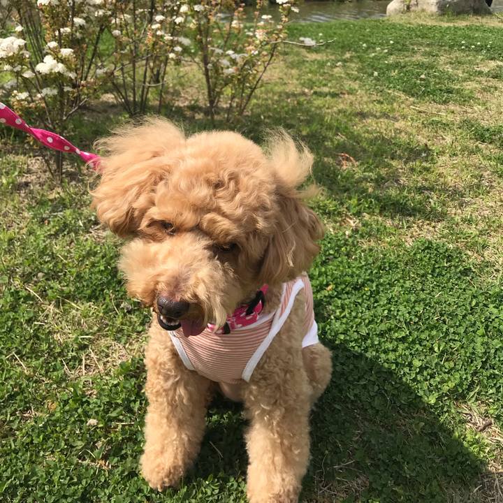 97f2b025 31d5 40de 98c7 fea31c98afc4 1524406450558