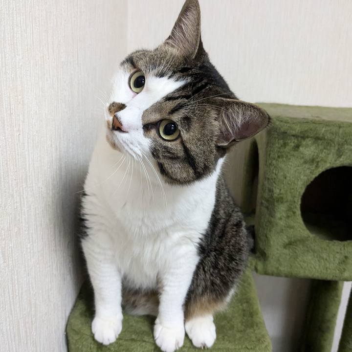 97f2b059 a76f 4702 b58e 79b4f583735f 1720690463185