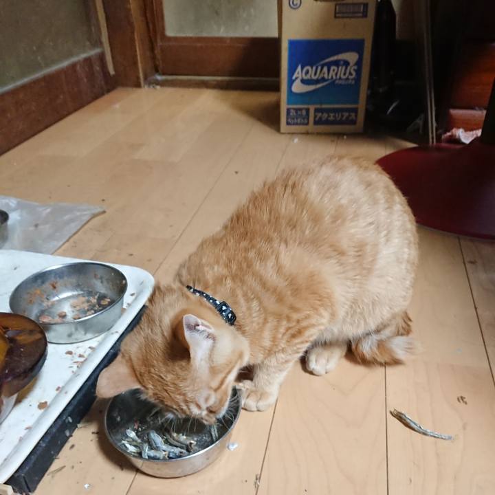 97f2ec86 b259 4ba2 863f a394cf22c79a 1635325324106