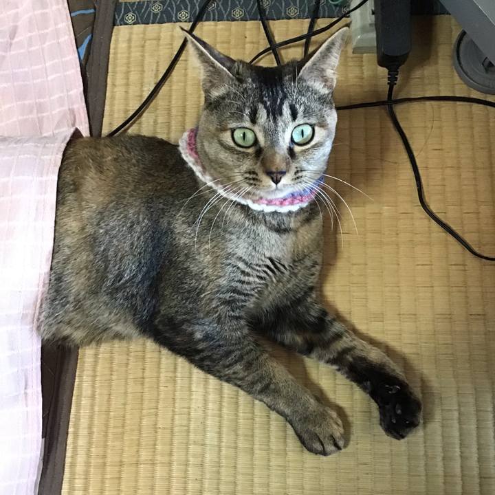 97f2f6b8 bf37 407b 8cca 146466c4f689 1617942223954