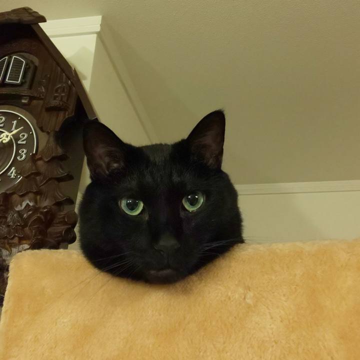 97f3145f 46fd 479f a956 2aa8aa2be1bd 1755699250292