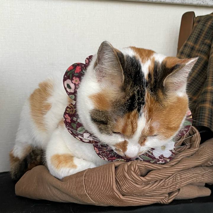 97f3974f b49f 4c98 8829 93ad1fad5fdd 1738985716133