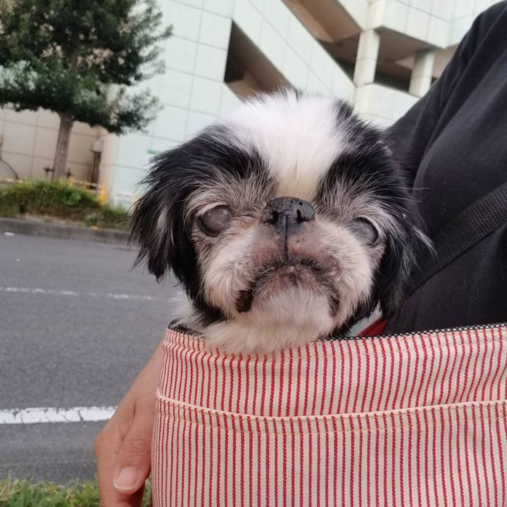 97f3f61f db11 45d0 a804 5f7ca9fa0fa3 1633435331866