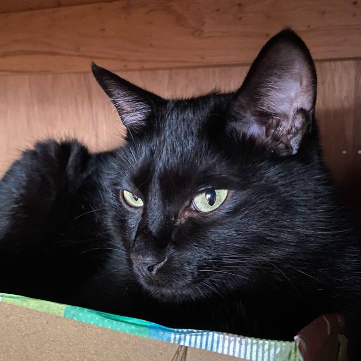 97f41824 ae5b 403a 869e dd1f775a805d 1655635598007