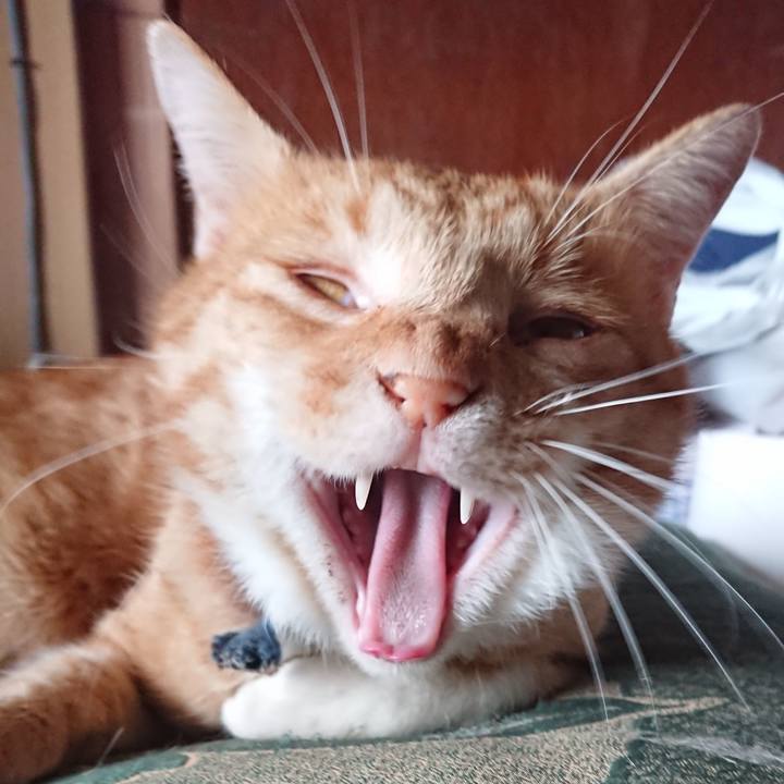 97f43291 4e2f 4559 bb20 0f4cb3202d4f 1566633914755