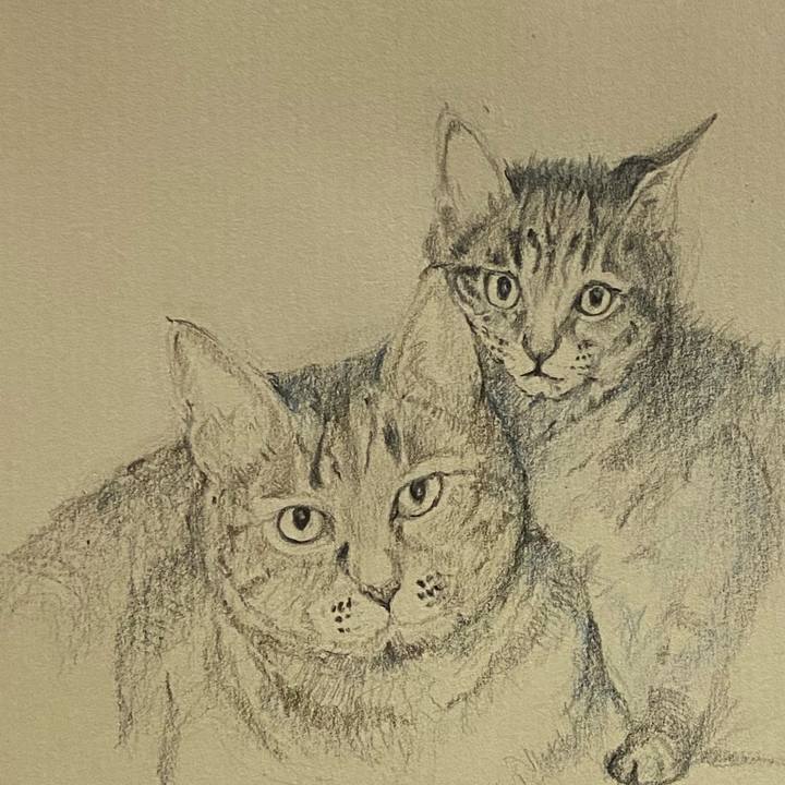 97f46e42 811b 4ac7 b658 37e9f135be8f 1701605362094