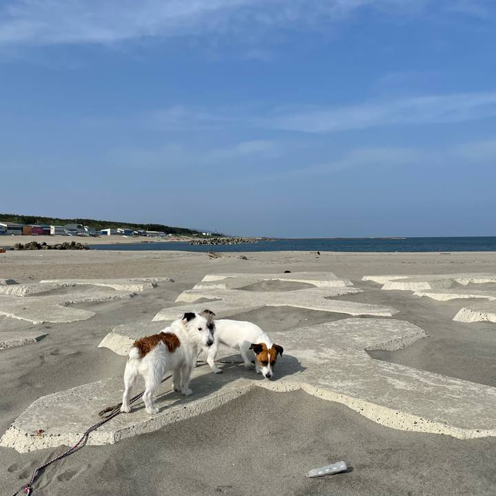 97f497c0 876b 4de7 9316 106efe64a618 1684283902521