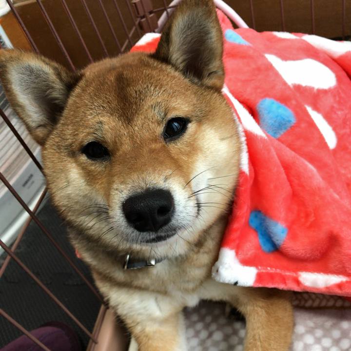 97f49809 8a84 4f20 b5c2 d973612992ff 1520205079761