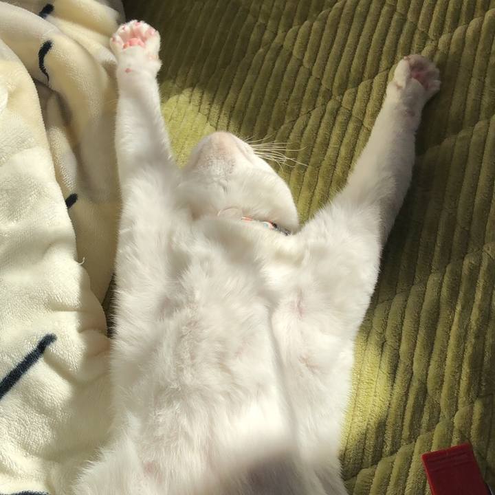 97f4bed6 8f8d 4cc4 9416 1505687aa0ee 1546492355098