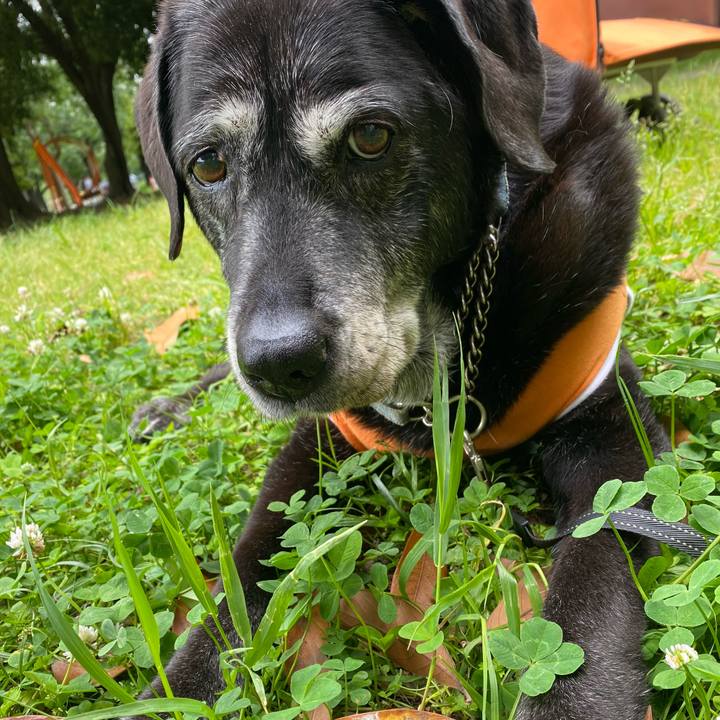 97f4dd12 d03a 4dbf a346 9ce7ba742dca 1748309881668