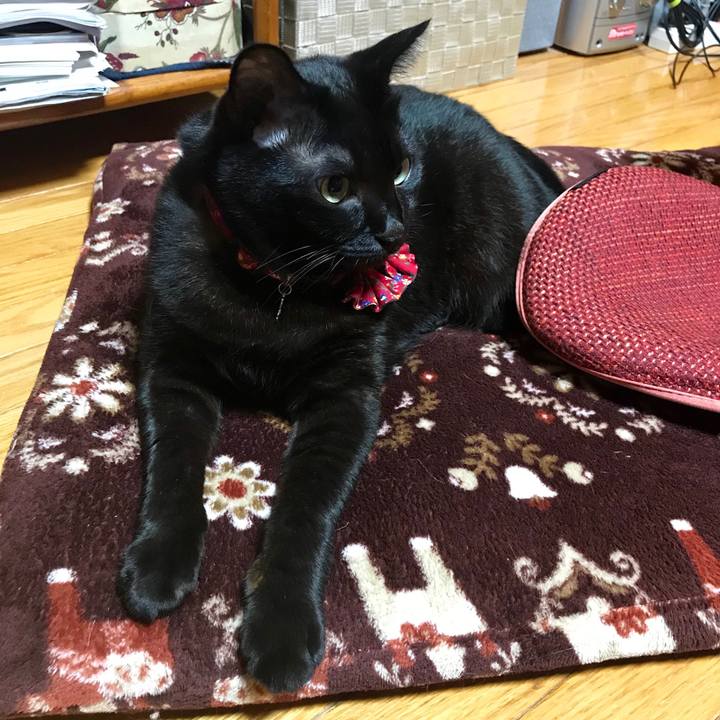 97f4efa0 6e3d 483d a118 678aca40c409 1541943302355