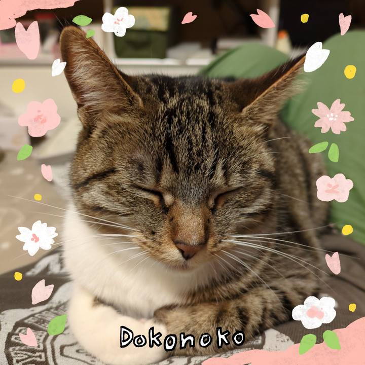 97f4f050 033c 41ed 9e04 21257360a193 1711439728516