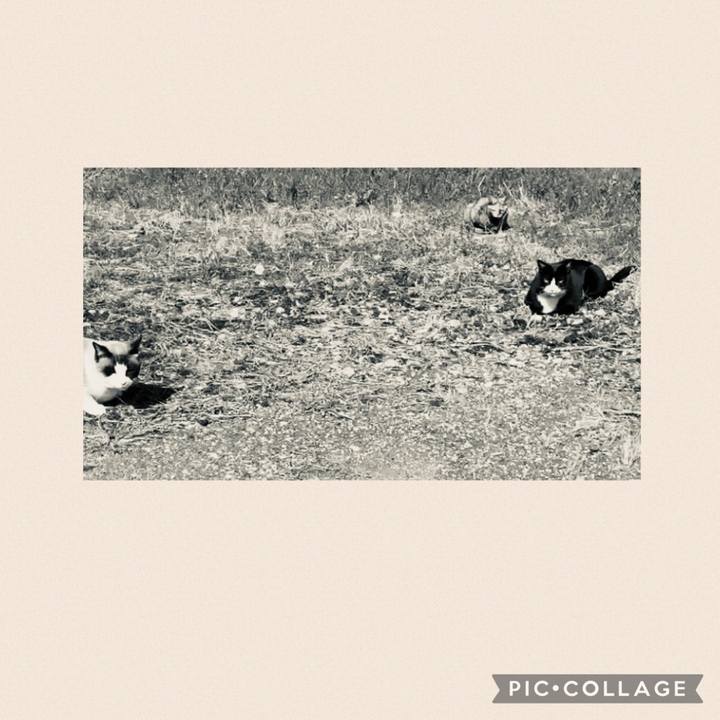 97f4fbb5 4d14 4228 83b0 8682a852f9de 1773583464995