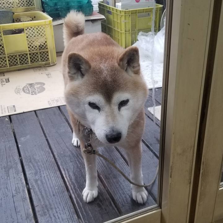 97f50e67 0018 4199 8356 f720dec7e1e3 1710889066994