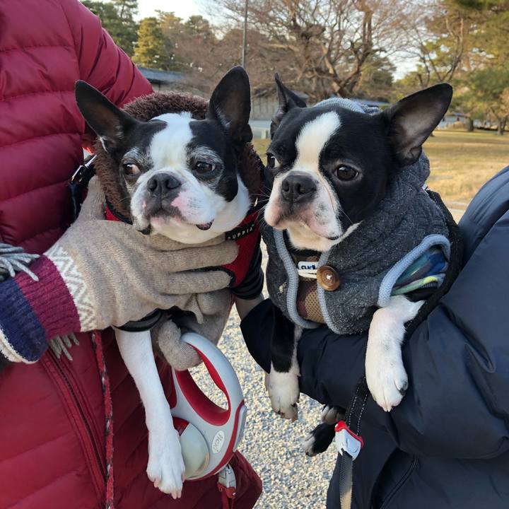 97f5586e 93fc 446a bd7f 20fb2e208f6f 1519349236057