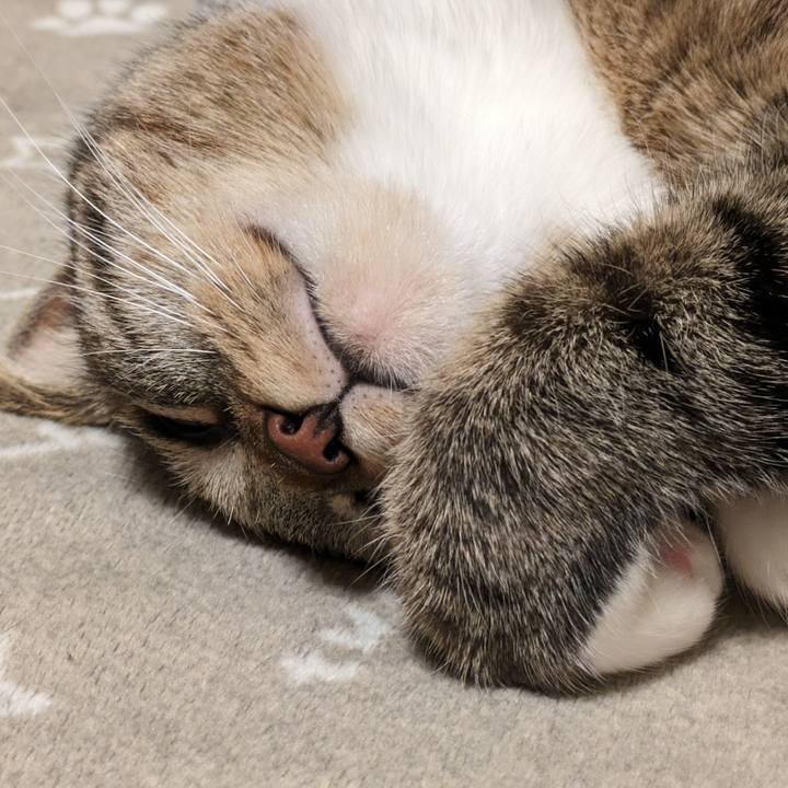 97f55dc2 41e1 4ee4 a546 f76725bf8b12 1705149681971