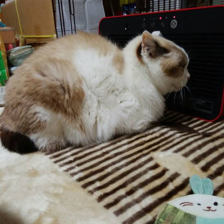 97f57fc4 3899 4077 8efa 5f963eaaf029 1510908274683