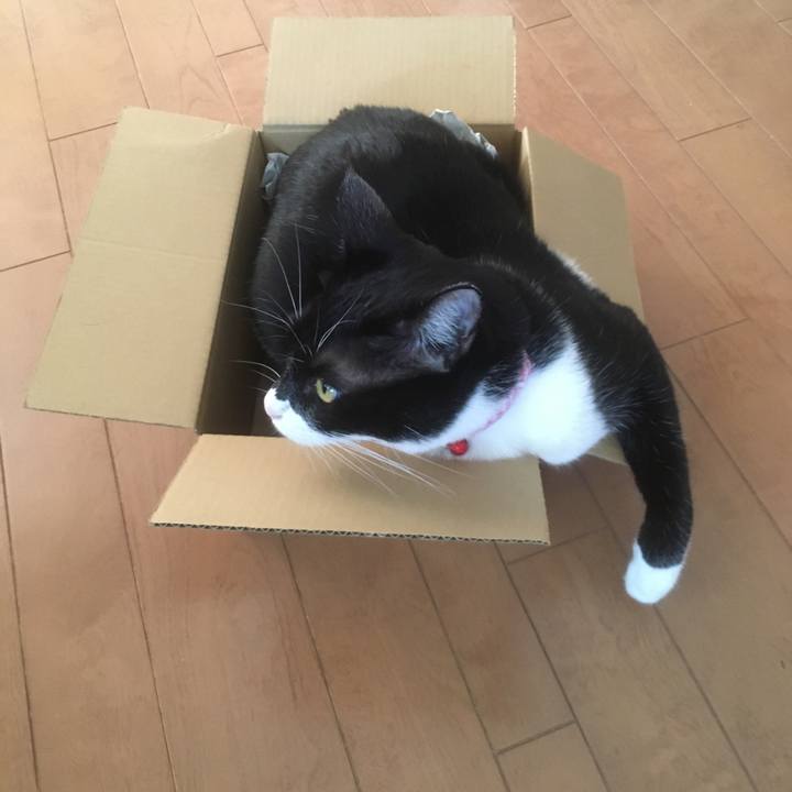 97f58849 cc6a 4f95 afdc 16a4555de146 1586069783684