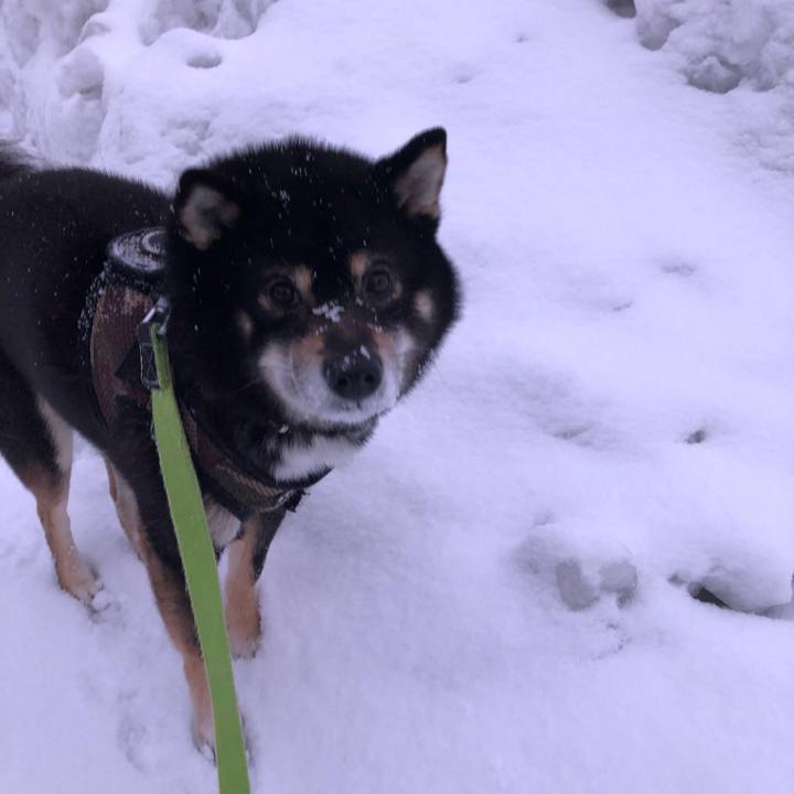 97f59768 413d 4c43 9027 ed388850ffaf 1520372120781