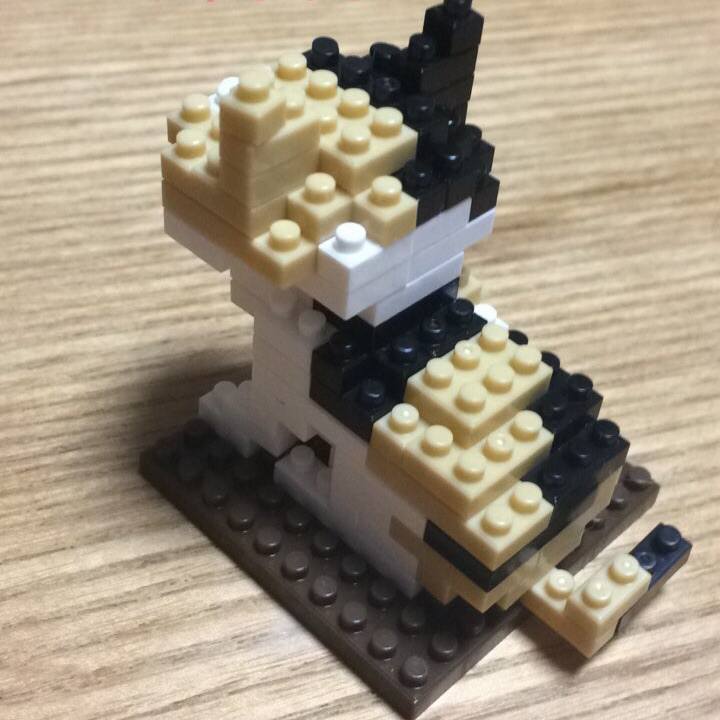 97f5ae96 b46b 488b 9957 3eccf36a673c 1518869320613