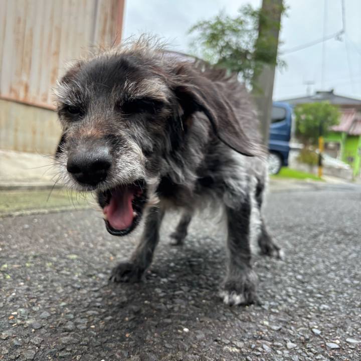 97f5d305 84db 4144 a41c a1d02ddf7e75 1760570297959