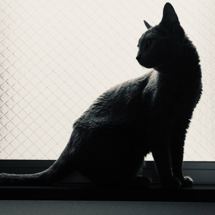 97f5d959 e70d 44fc 91ec c6a45c83c94c 1561504122211