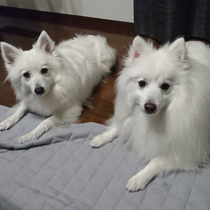 97f5ed09 109b 4be2 99a8 342c86941e3a 1622468464916