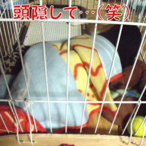 97f5f58b 1931 4432 898c e376e8ea2627 1694479062284