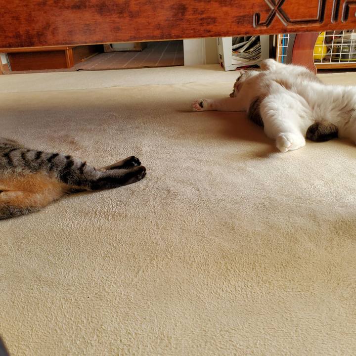 97f5f83f bcd3 49a1 b75e 3863726e9b09 1694483179765