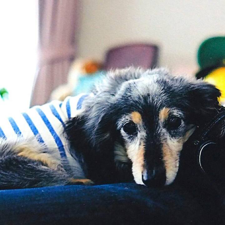 97f64b51 69ee 4cf5 b451 27dc143f8524 1510012488521