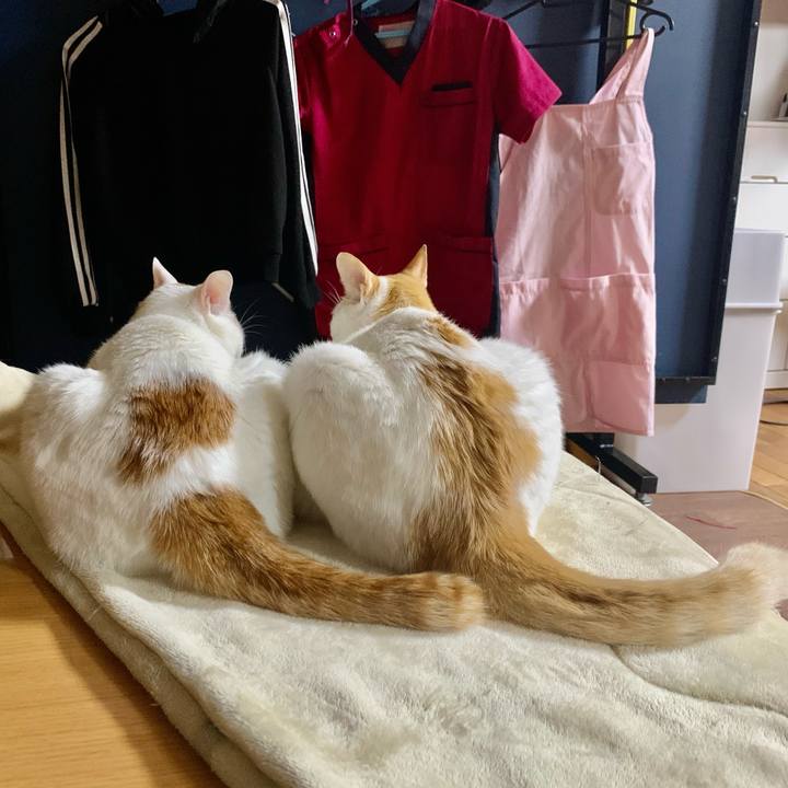 97f65840 c673 4fa0 a959 395466ba7711 1611326210970