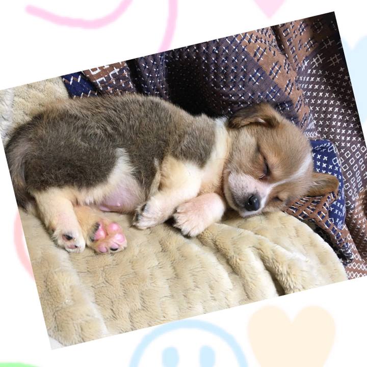 97f67799 612a 4238 b013 5559fbc9d1f2 1611540997353