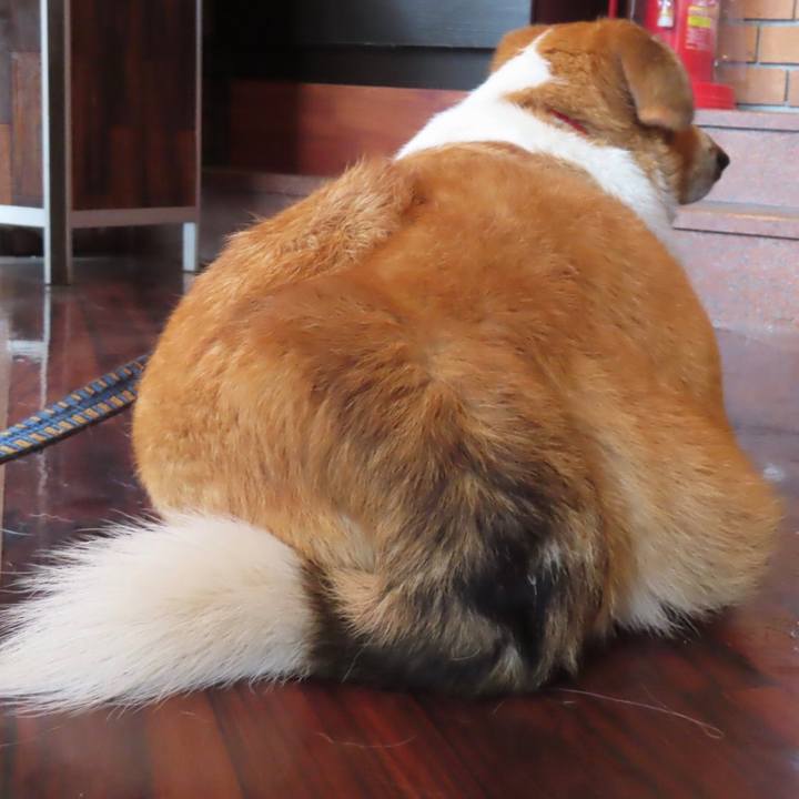 97f67b5f 7865 44d3 bde4 894b74796a57 1652226019152