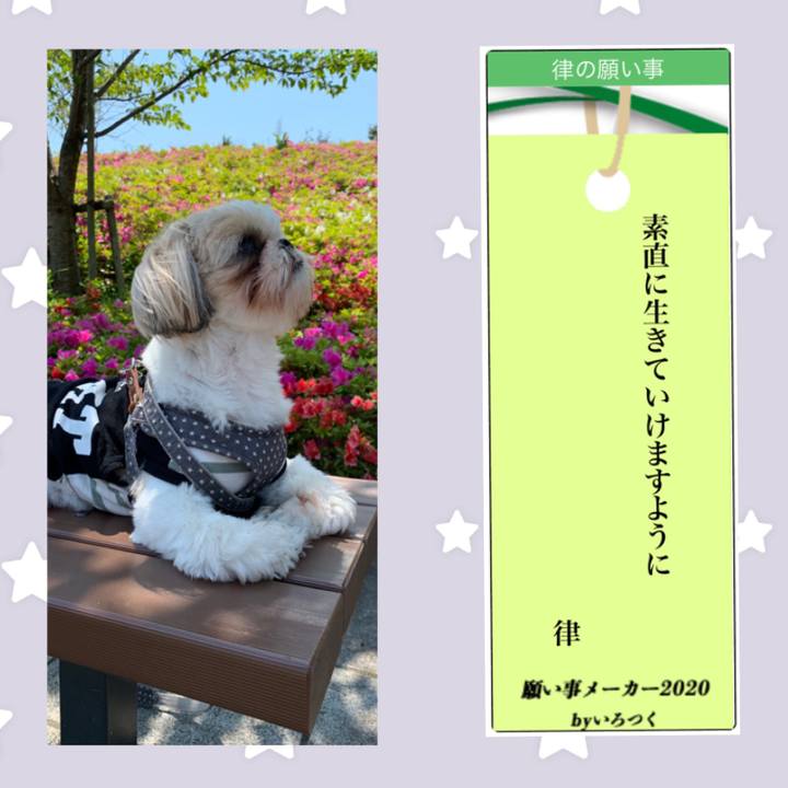 97f69607 dd17 4c73 bb66 25e4159115e4 1594204681620