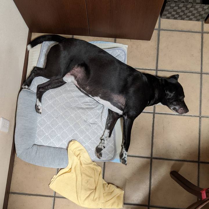 97f6a29c fed3 4361 aba3 0be773f047b7 1692229529722