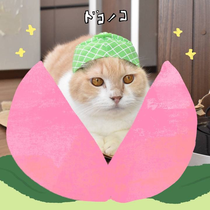 97f72ba3 787b 4cc7 9397 c14662c686d0 1771834760284