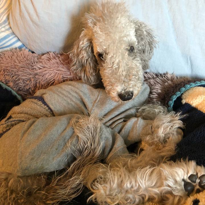 97f7474c 10bb 40f0 b54a 78f3d8fde12e 1580612806520