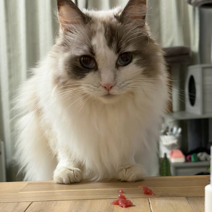 97f78c58 73c7 4112 be2b ac0385e9b14f 1767187549918